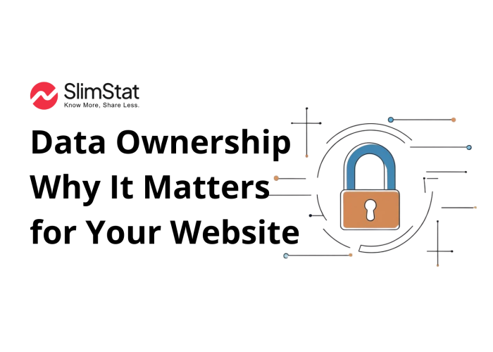 Data Ownership website: Why It Matters for Your Website