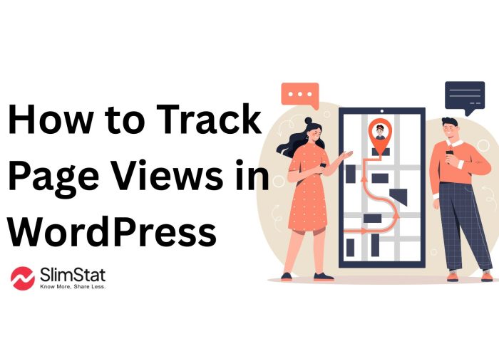 How to Track Page Views in WordPress